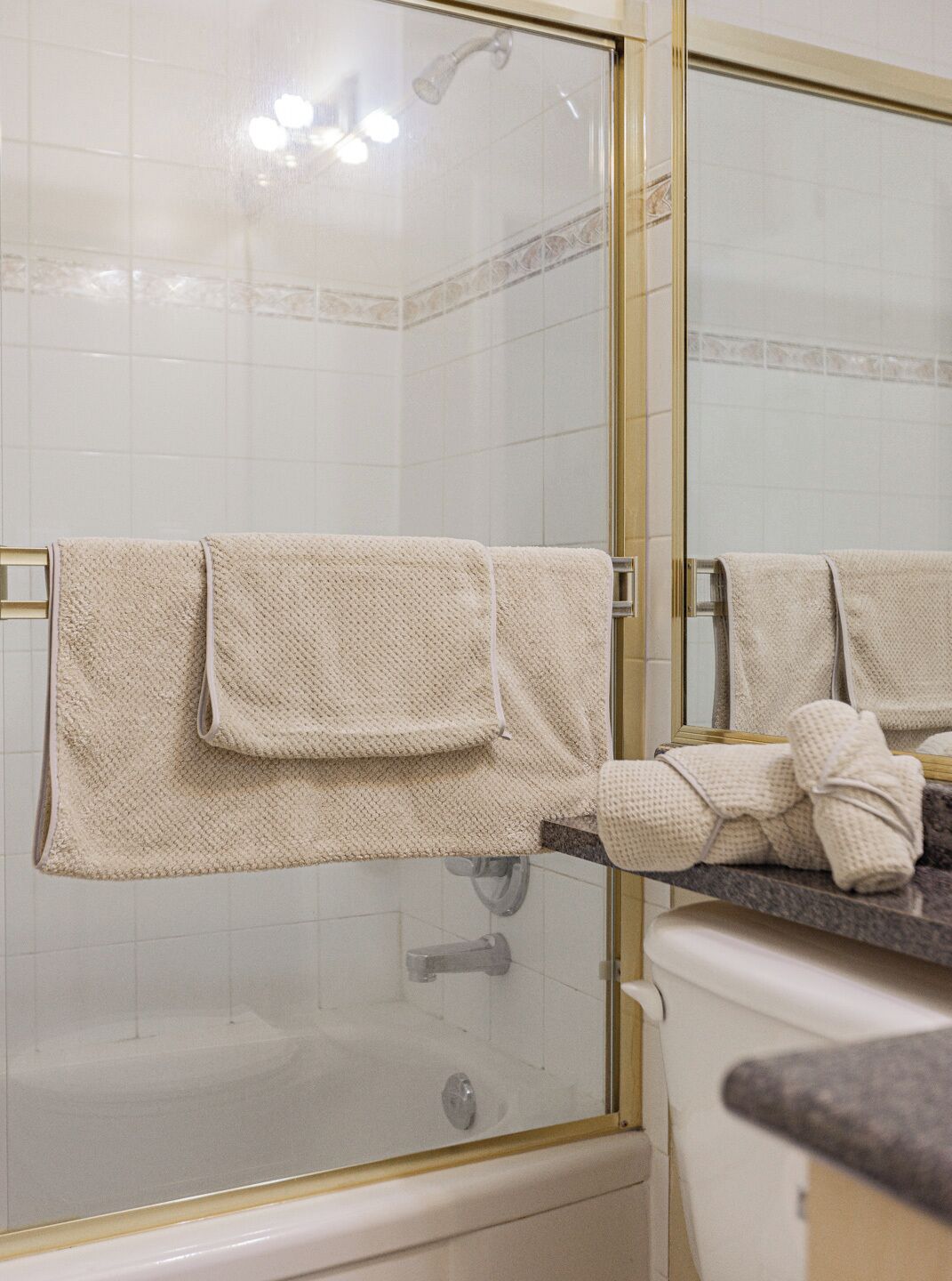 Hair dryer, towels, soap, toilet paper