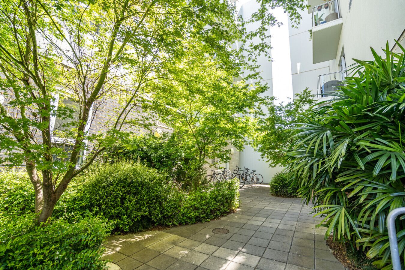 A paved pathway flanked by lush greenery and a building with balconies.