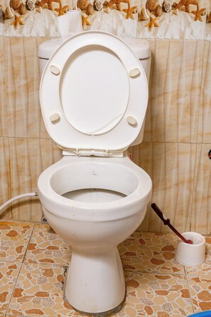 A toilet with a closed lid, a bidet attachment, and a toilet brush. - FURNISHED COZY ONE BEDROOM APARTMENT (Busia)