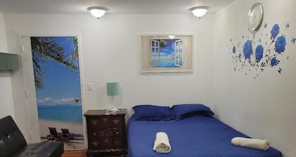 Lovely 1 bedroom apartment with AC in Queens