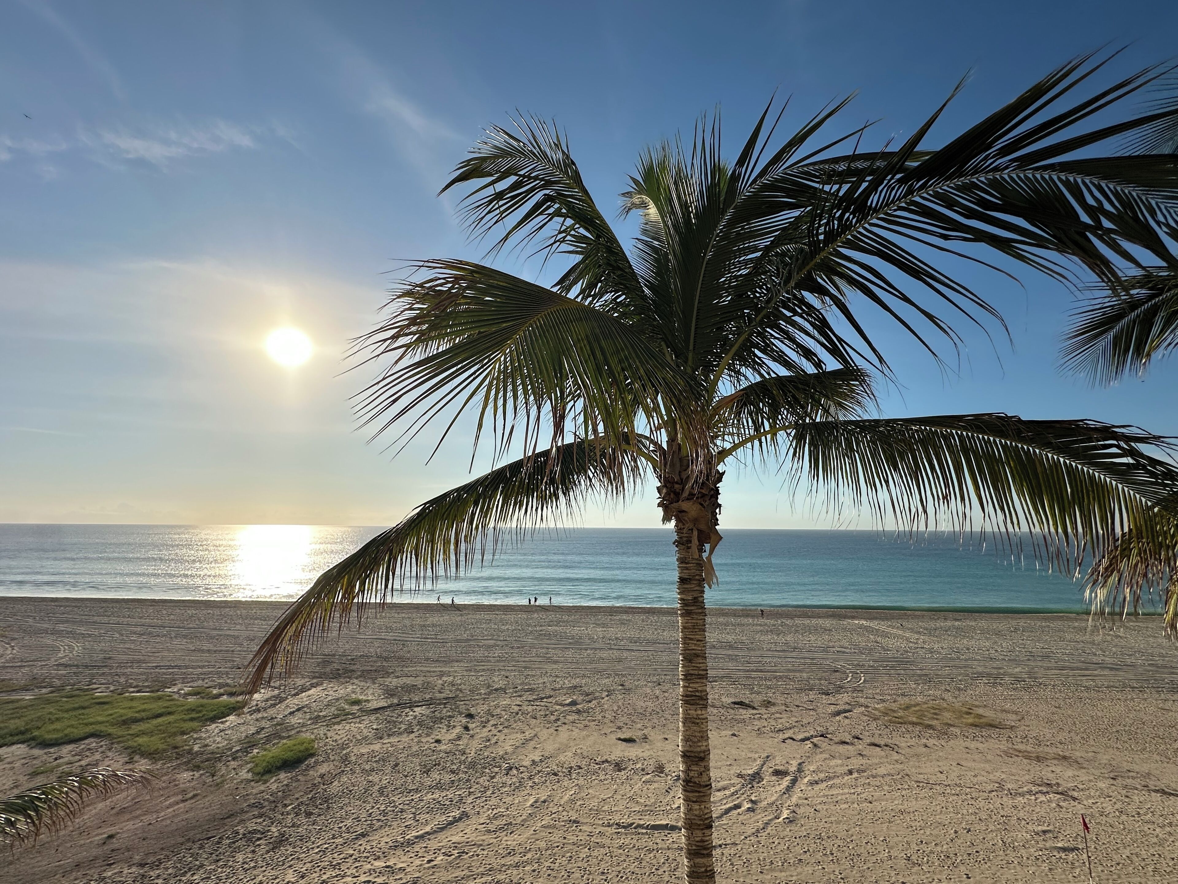 Sun-loungers, beach towels