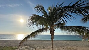 A beach with a palm tree, clear sky, and the ocean.