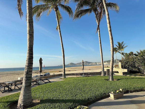 Sun loungers, beach towels