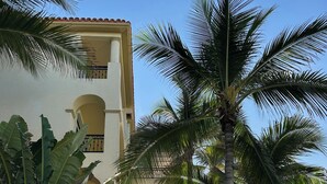 A multi-story building with balconies, surrounded by palm trees and lush greenery.