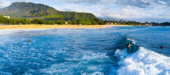 Kalo Homes - Immersed in Aloha