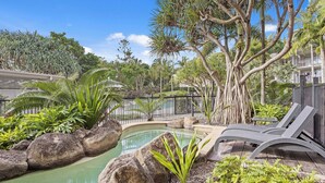A pool area with lounge chairs, surrounded by tropical plants and a large tree. - The Sand Resort Kingscliff - 1BR Plunge Pool - 7020 (Tweed)