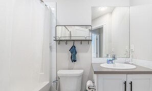 Shower, jetted bath, hair dryer, bidet