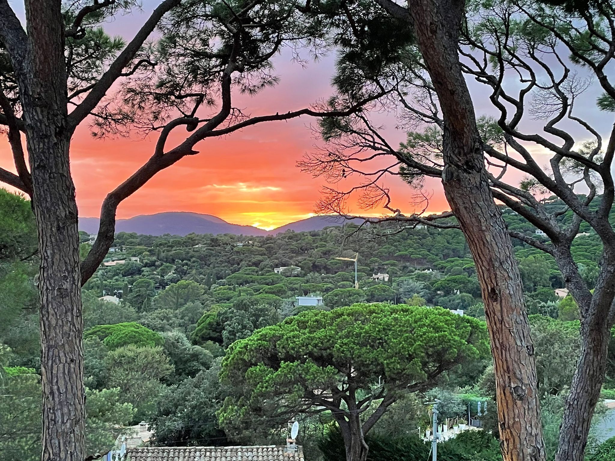Paesaggio con alberi che incorniciano un tramonto su una zona collinare con edifici.