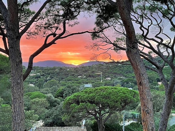 A landscape with trees framing a view of a sunset over a hilly area with buildings.
