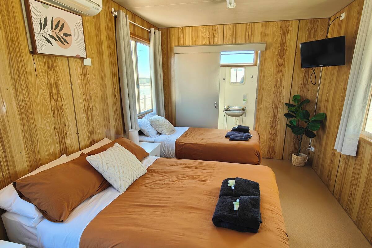 A room with two beds, wooden walls, a TV, a window, and a plant.