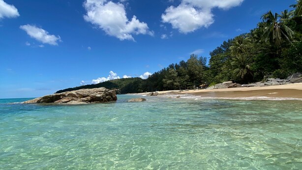 Vista despejada de una playa con aguas turquesas, arena dorada y un promontorio cubierto de bosque.