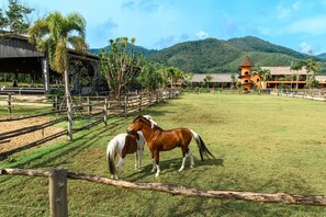 Vil·la, 2 dormitoris, fumadors, piscina privada | Exterior