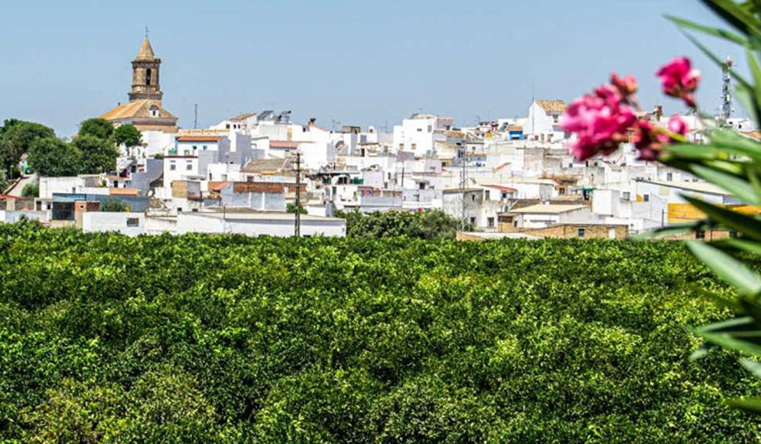 Vista desde la propiedad