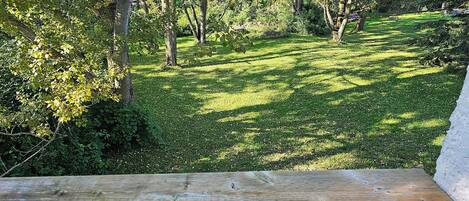 A wooden bench overlooking a grassy area with trees.