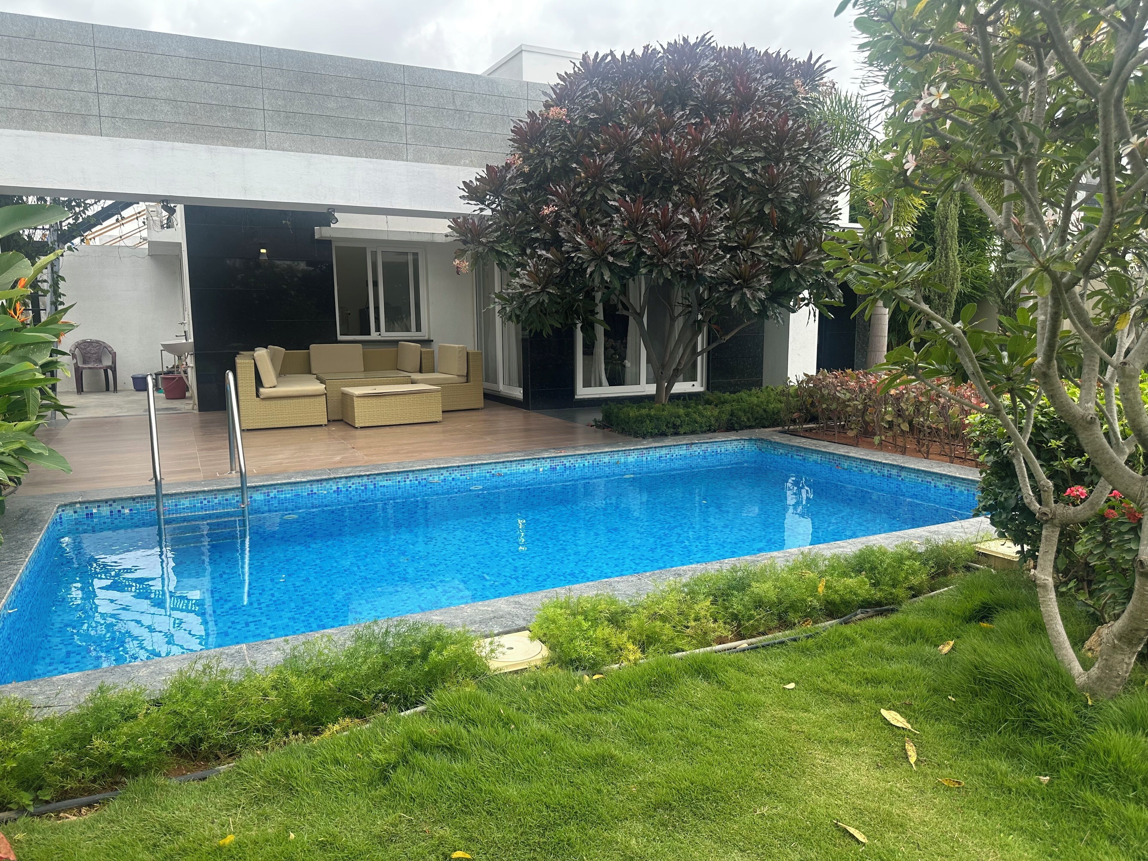 En swimmingpool med flisebelagt solområde, omgivet af græs og enkelte plantekrukker.