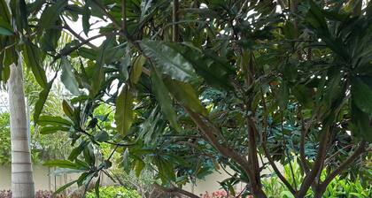 2-bedroom villa with private pool and garden