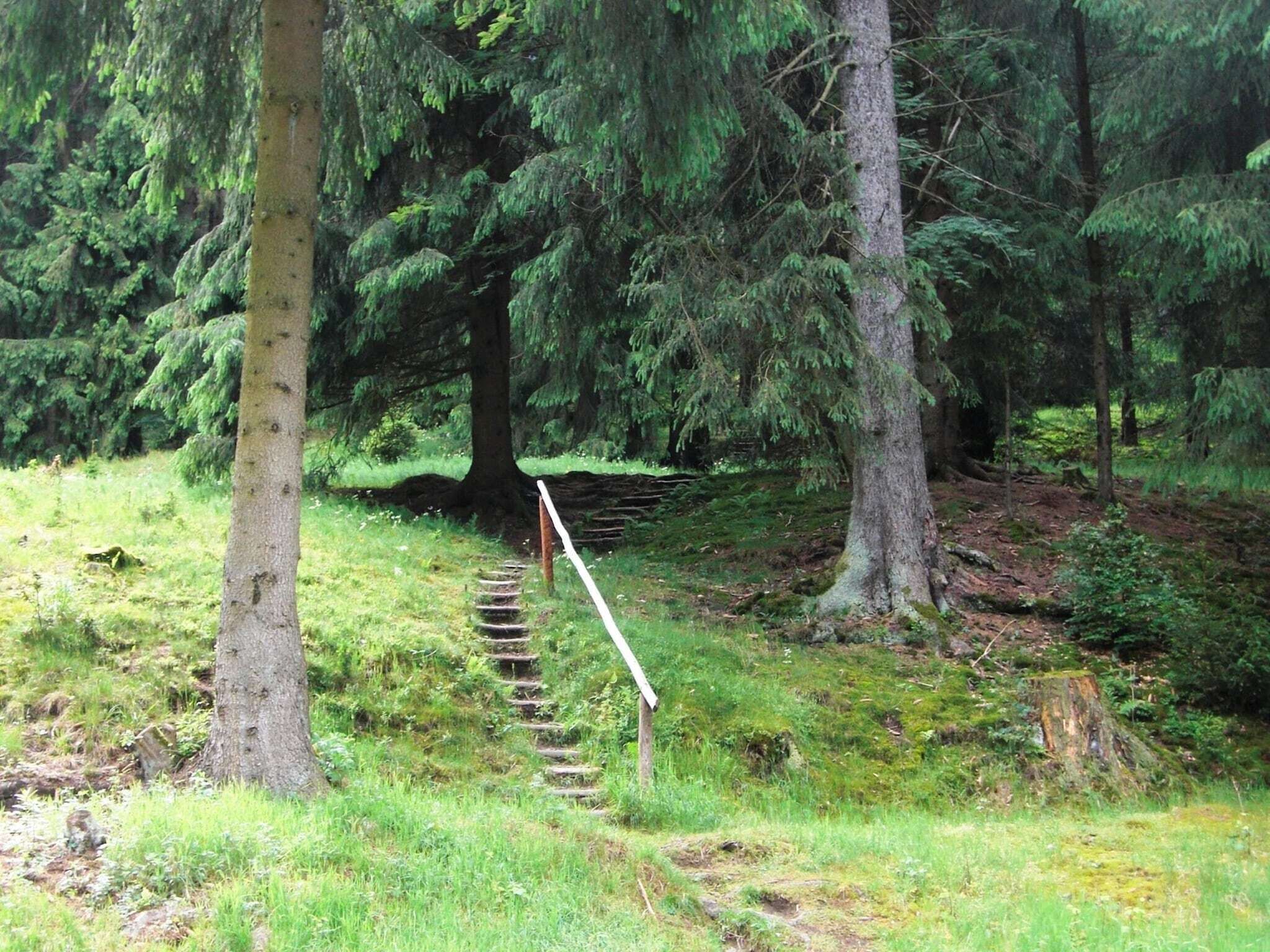 Area boscosa con una scala di legno che sale lungo un pendio.