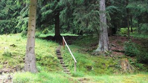 Ein bewaldetes Gelände mit einer Holztreppe, die einen Hang hinaufführt.