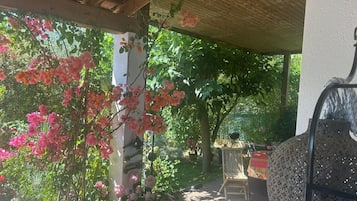 Terassi/patio