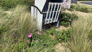 A beachside structure with a white exterior and a blue roof, surrounded by tall grass and pink flowers.