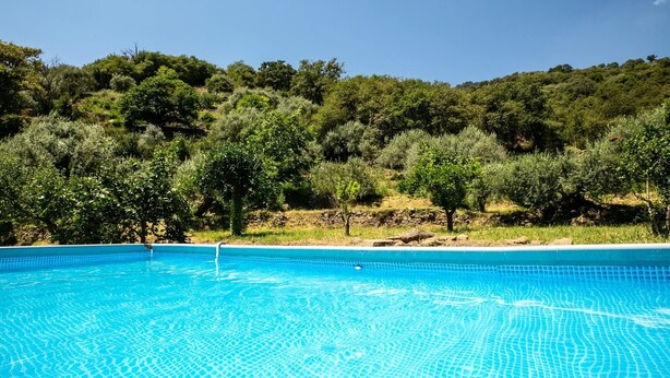 A clear blue swimming pool surrounded by lush greenery and trees.
