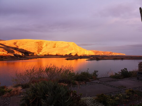 A serene landscape with a large body of water reflecting the golden hues of a sunset, surrounded by a variety of desert vegetation and a prominent hill.