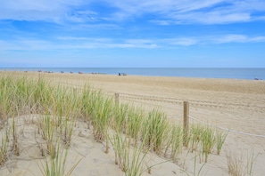 Accommodatie ligt op het strand