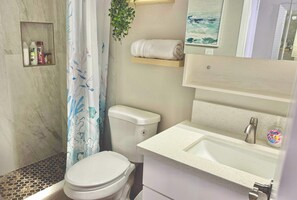 Regadera, secadora de cabello, shampoo 