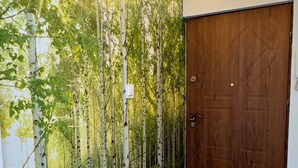 Ein Flur mit Holzboden, einer Holztür und einer Wandmalerei, die eine Waldszene zeigt.