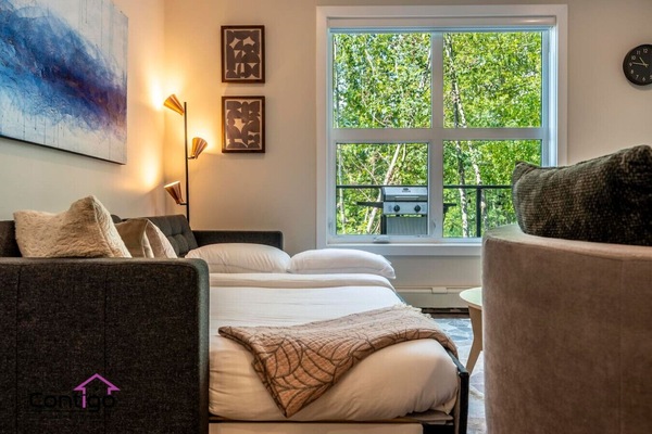 Bright and welcoming living room with a convenient sofa bed for extra sleeping space.