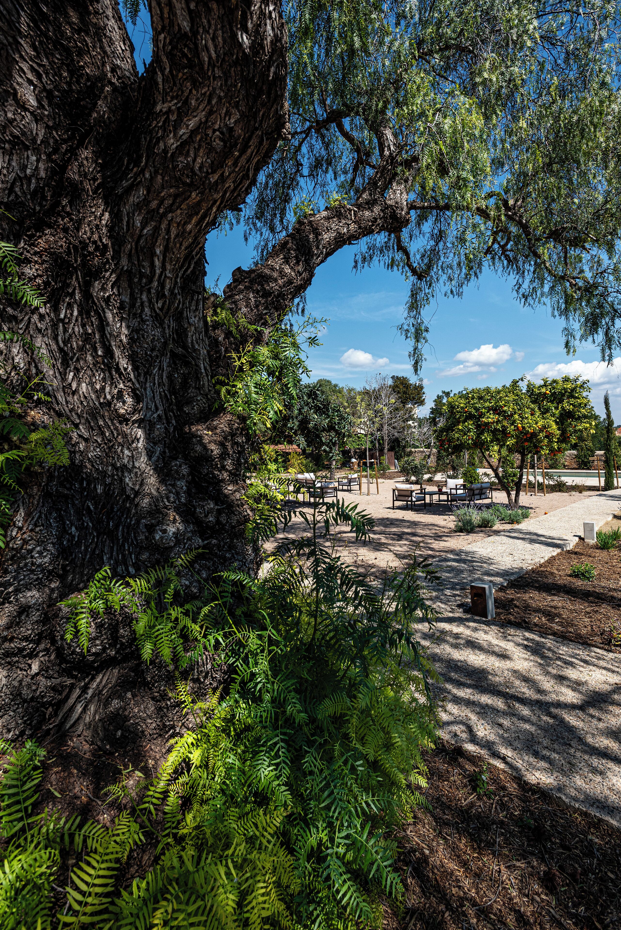 Photo - Hotel Boutique Làpety