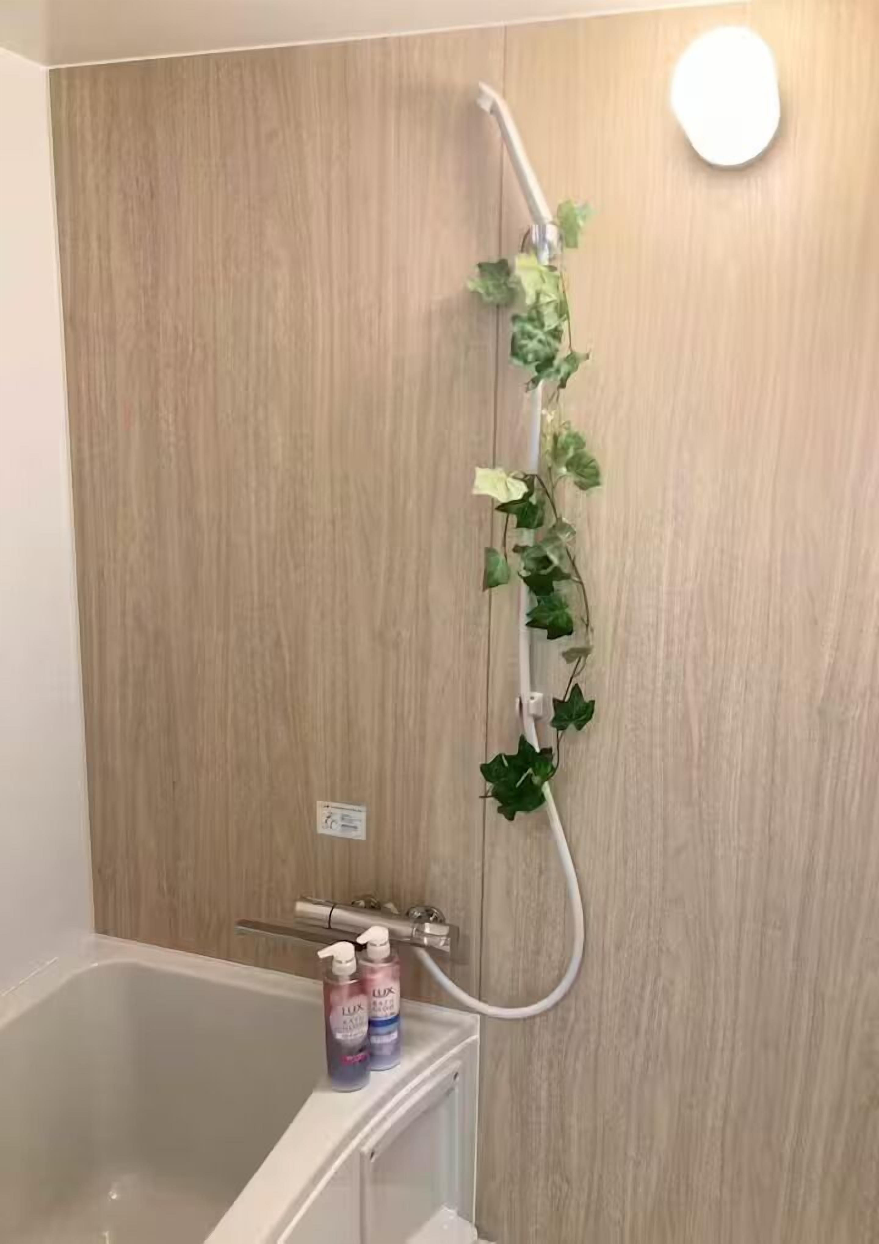 Basic Apartment, City View | Bathroom