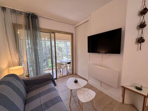 Fernseher