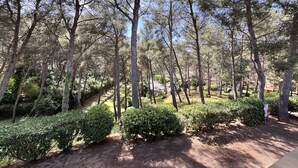 A forested area with tall trees and well-maintained bushes, likely part of a park or natural reserve.