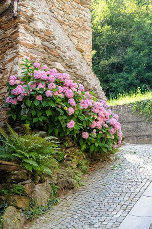 객실에서 보이는 전망