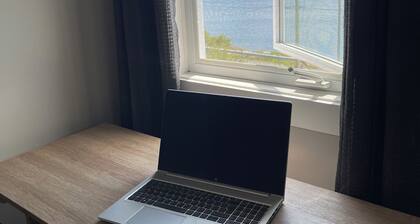 Oceanfront cottage -Irish Loop