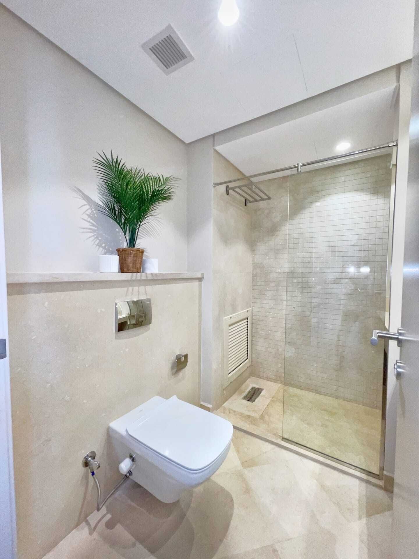 Une salle de bain moderne avec une douche à parois de verre, des toilettes blanches et une petite plante posée sur une étagère.