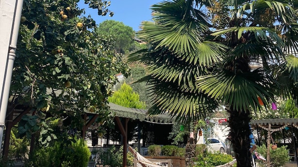 Exterior - Yelken Motel (Armutlu)