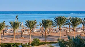 Ein Strand mit Palmen, blauem Himmel und dem Meer.
