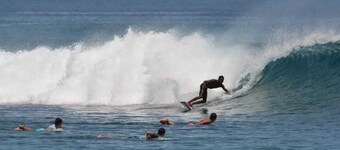 Book like a Millionaire, your summer camp island- your private island inParadise