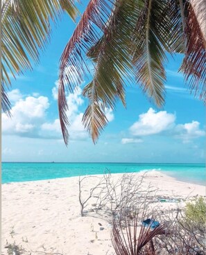 Playa