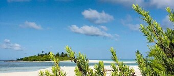 Book like a Millionaire, your summer camp island- your private island inParadise