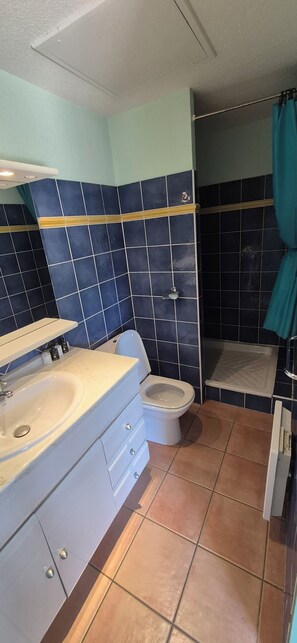 Shower, hair dryer, towels, toilet paper