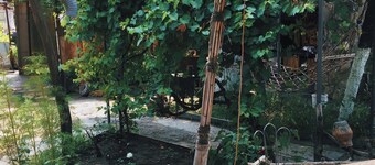 Alashkert Guesthouse — where Armenian heritage lives in historic Gyumri