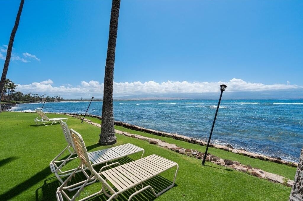 A coastal view with a grassy area, two lounge chairs, a palm tree, and a lamp post.