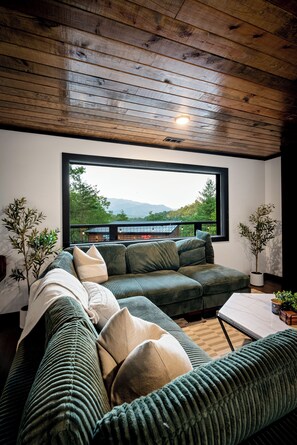 智能电视、壁炉、影片库