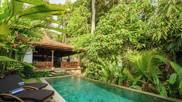 A pool with lounge chairs and a wooden structure surrounded by lush greenery. - Villa Dharuna Ubud (Ubud)