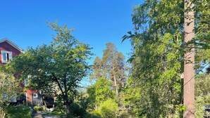 Ruohikkoalue, jossa on puita ja pieni varasto.