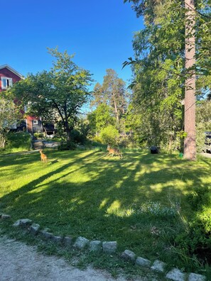 Property grounds - Cozy house from 1920, sea view and swimspa pool, pets allowed (Stockholms län)