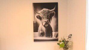Un comedor con una mesa de madera, dos sillas tapizadas, una fotografía en blanco y negro de un toro en la pared y un jarrón pequeño con hojas verdes.